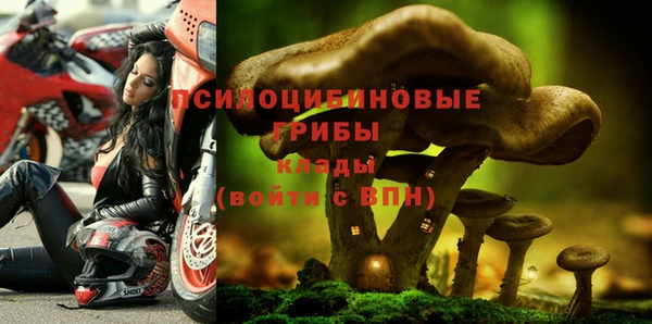 кокс Алексин
